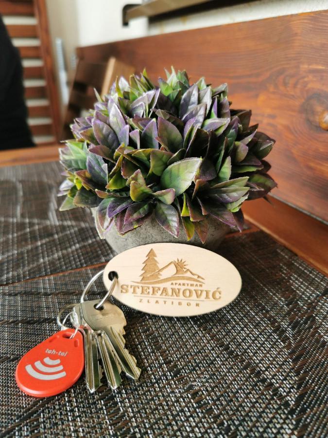 Apartman Stefanovic Vila Darija Lux Zlatibor Zewnętrze zdjęcie