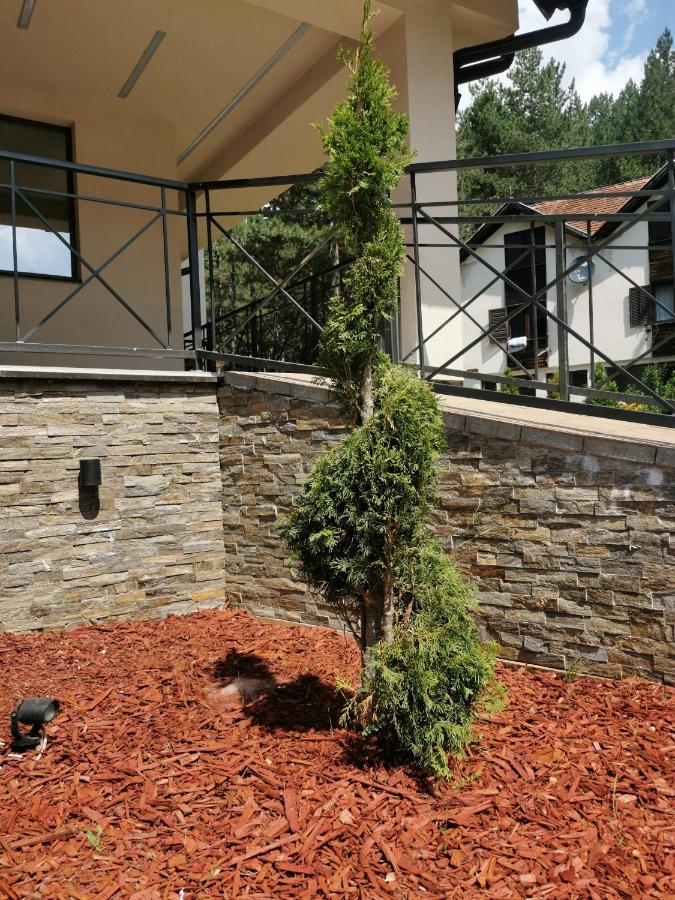 Apartman Stefanovic Vila Darija Lux Zlatibor Zewnętrze zdjęcie